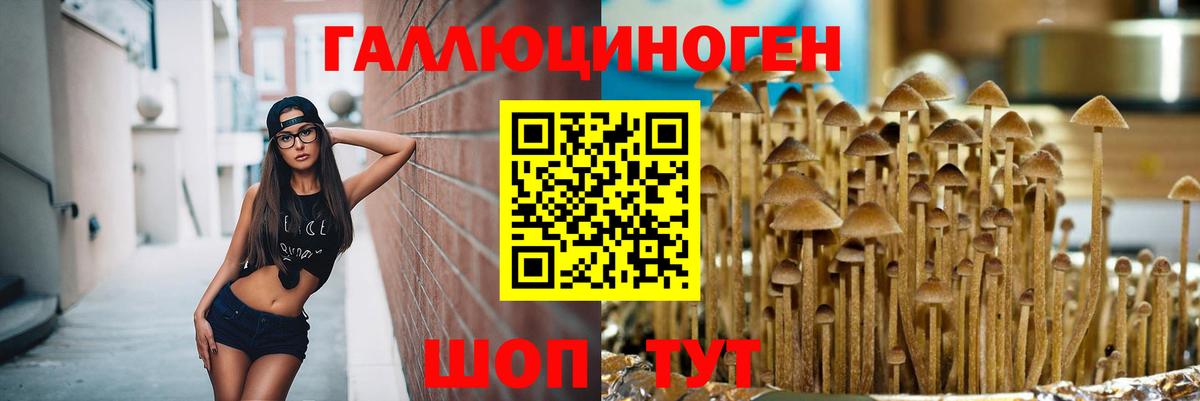 Галлюциногенные грибы ЛСД  Вход с VPN  Чернушка 