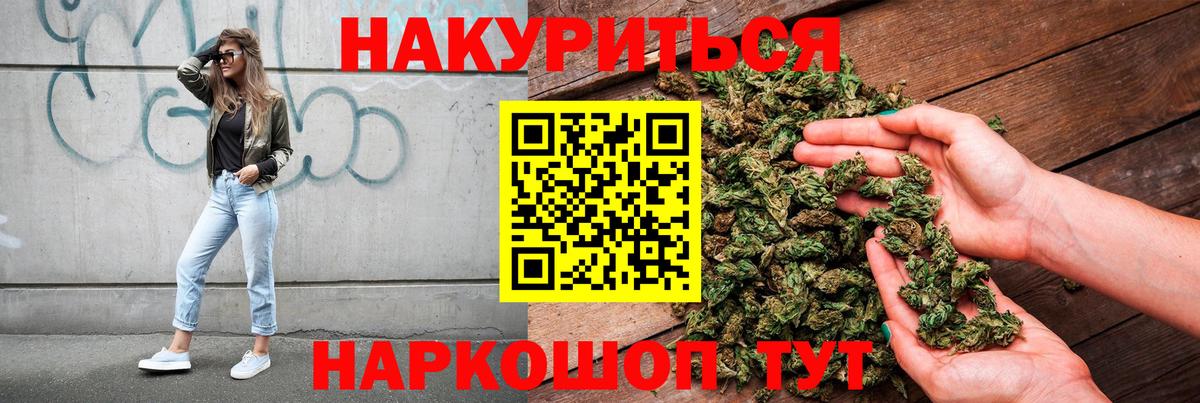 Канабис планчик Чернушка